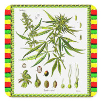 Vintage Botanical Illustration, 1897 - A weed Square Stickers