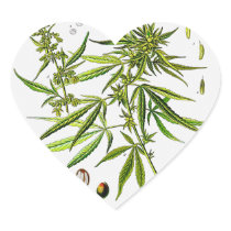 Vintage Botanical Illustration, 1897 - A weed Stickers