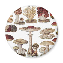 Vintage Botanical Mushrooms Magnet