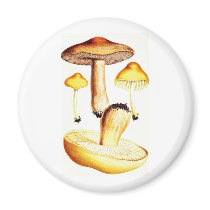Vintage Botanical Mushrooms Fridge Magnet