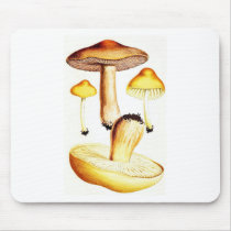 Vintage Botanical Mushrooms Mouse Pads