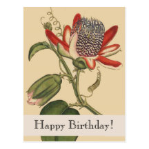 Vintage Botanicals Happy Birthday Postcard