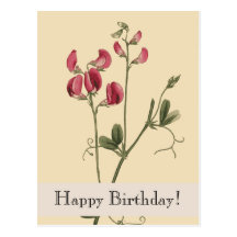 Vintage Botanicals Happy Birthday Postcard