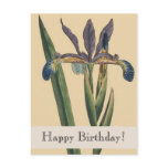 Vintage Botanicals Iris Birthday Postcard