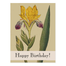 Vintage Botanicals Iris Happy Birthday Postcard
