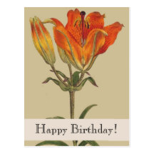 Vintage Botanicals Lily Happy Birthday Postcard
