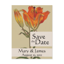 Vintage Botanicals Lily Save the Date Postcard