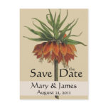 Vintage Botanicals Lily Save the Date Postcard