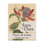 Vintage Botanicals Passion Flower Save the Date postcards