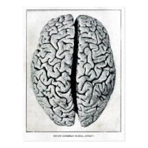 Vintage Brain Postcard