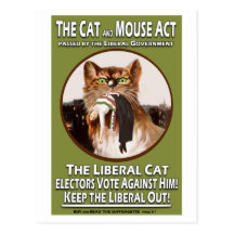 Vintage British Suffragette Cat and Mouse Act Postcard
