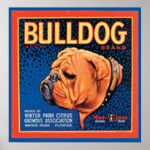 Vintage Bulldog Brand Crate Label Posters