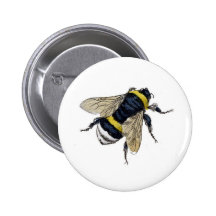 Vintage Bumble Bee Pins
