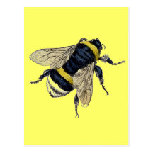 Vintage Bumble Bee Postcards