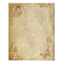 Vintage Butterflies Photographic Print