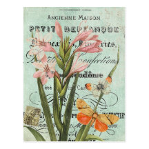 Vintage Butterfy and Lily postcard