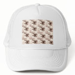 Vintage Calico Cat/Black & White Photography hats