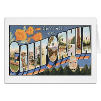 Vintage California Postcard