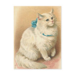 vintage cat postcards