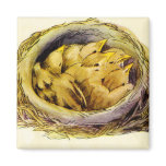 Vintage Chicks Magnet