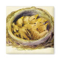 Vintage Chicks Magnet