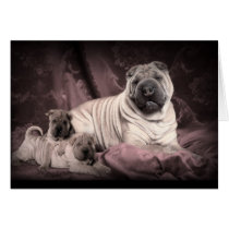 Vintage Chinese Shar Pei Wrinkles, Puppy Dogs Cards