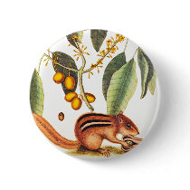 Vintage Chipmunk Illustration Buttons
