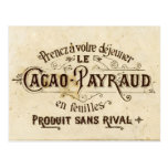 Vintage chocolate cacao advert, retro café grunge postcards