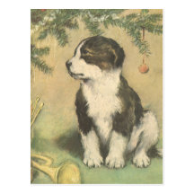 Vintage Christmas, Cute Puppy Under Christmas Tree Post Cards