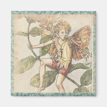 Vintage Cicely Mary Barker Flower Fairy Magnets
