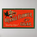 Vintage Cigar Advertisement: Orange Flower posters
