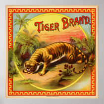 Vintage Cigar Advertisement: Tiger Brand Posters