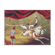 Vintage Circus Art Post Card