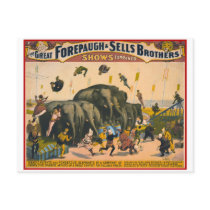 Vintage circus elephants acrobats Forepaugh & Sell Postcards