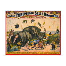 Vintage circus elephants acrobats Forepaugh & Sell Postcards