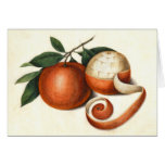 Vintage Citrus Fruit - Antique Chinese Oranges Greeting Card
