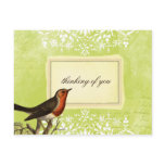 Vintage Collage Bird Green Postcard Custom Text