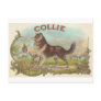Vintage Collie Dog Postcard