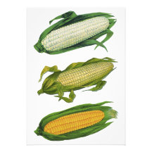 Vintage Corn on the Cob Custom Invitations