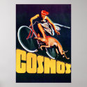 Vintage Cosmos Bicycle Poster posters