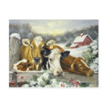 Vintage Cow Image postcards