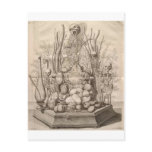 Vintage Creepy Skeletons, Skulls and Trees postcards
