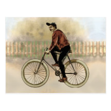 Vintage Cyclist in the Country Post Card