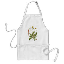 Vintage Dandelion Illustration Apron