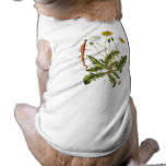 Vintage Dandelion Illustration pet clothing