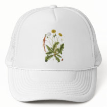 Vintage Dandelion Illustration
