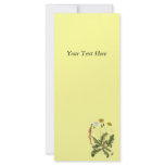 Vintage Dandelion Illustration rack cards