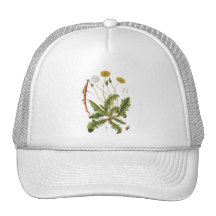 Vintage Dandelion Illustration Trucker Hats