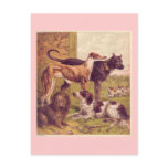 Vintage Dogs Art Postcard