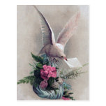 Vintage Dove Delivering Flowers Post Cards